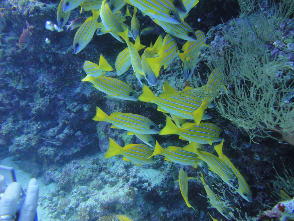 DSC00079.JPG