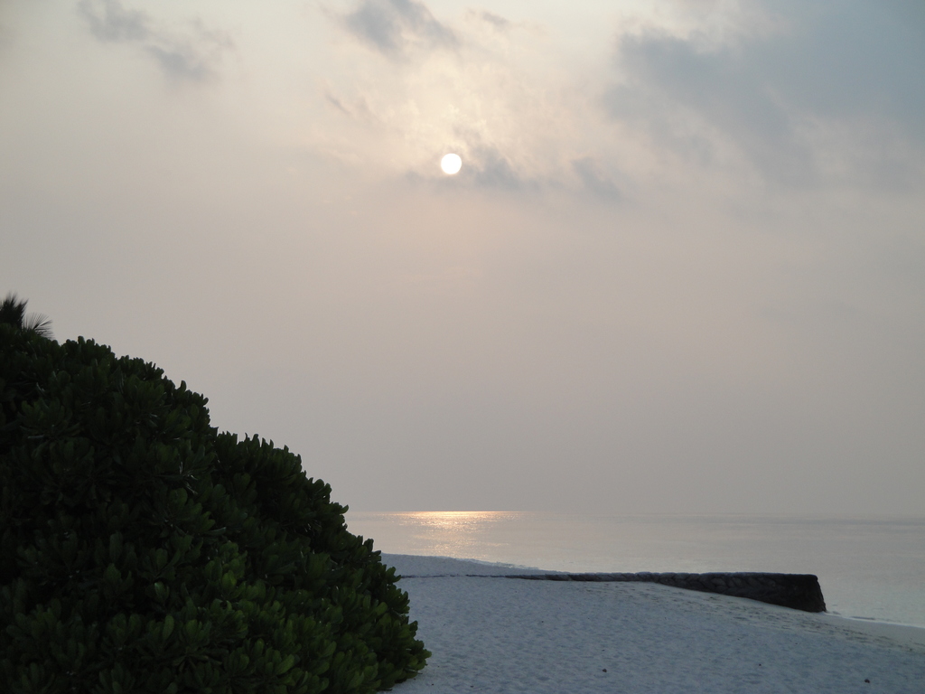 DSC00101.JPG