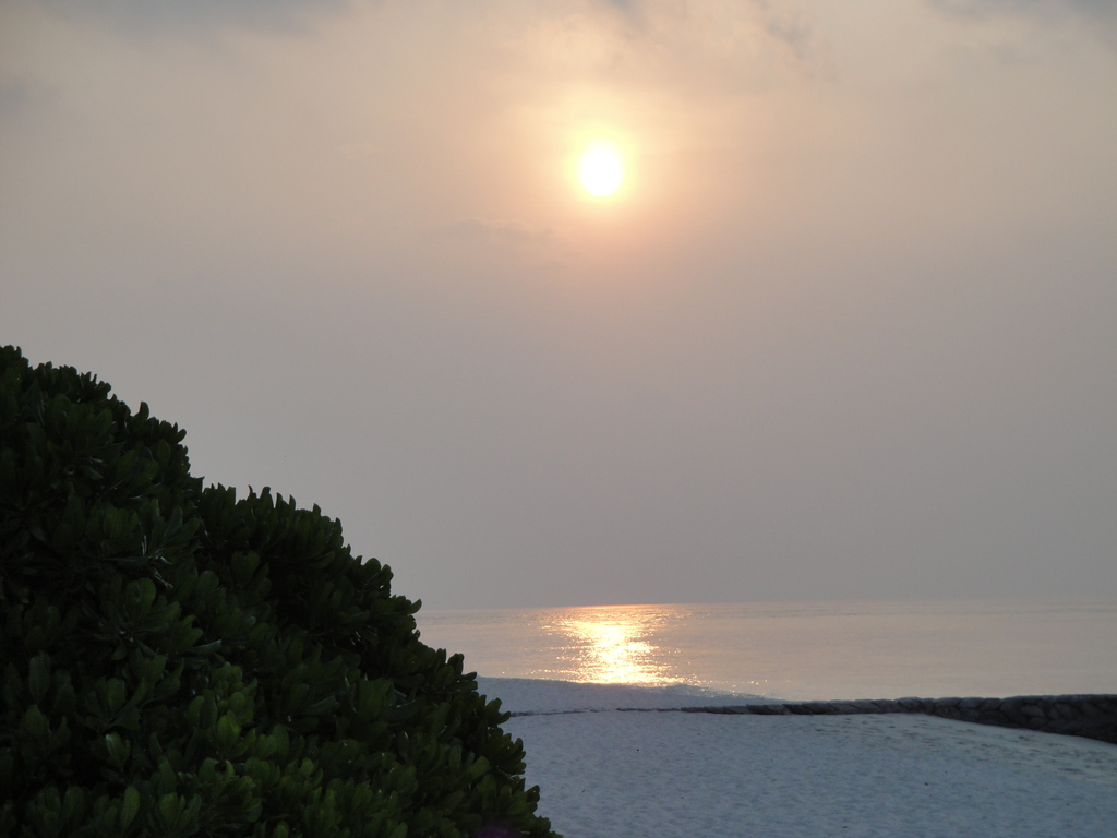 DSC00102.JPG