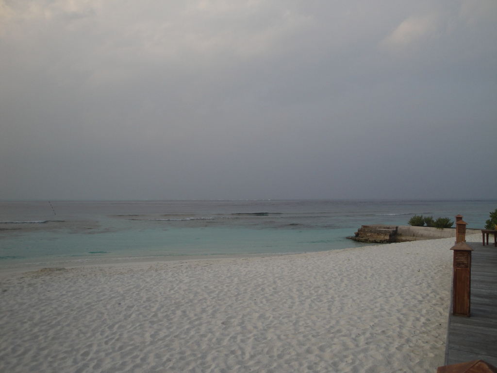 DSC00104.JPG