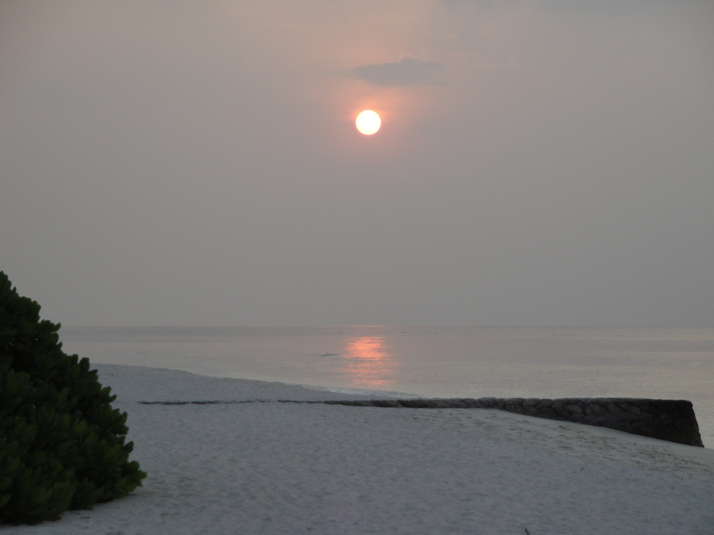 DSC00107.JPG