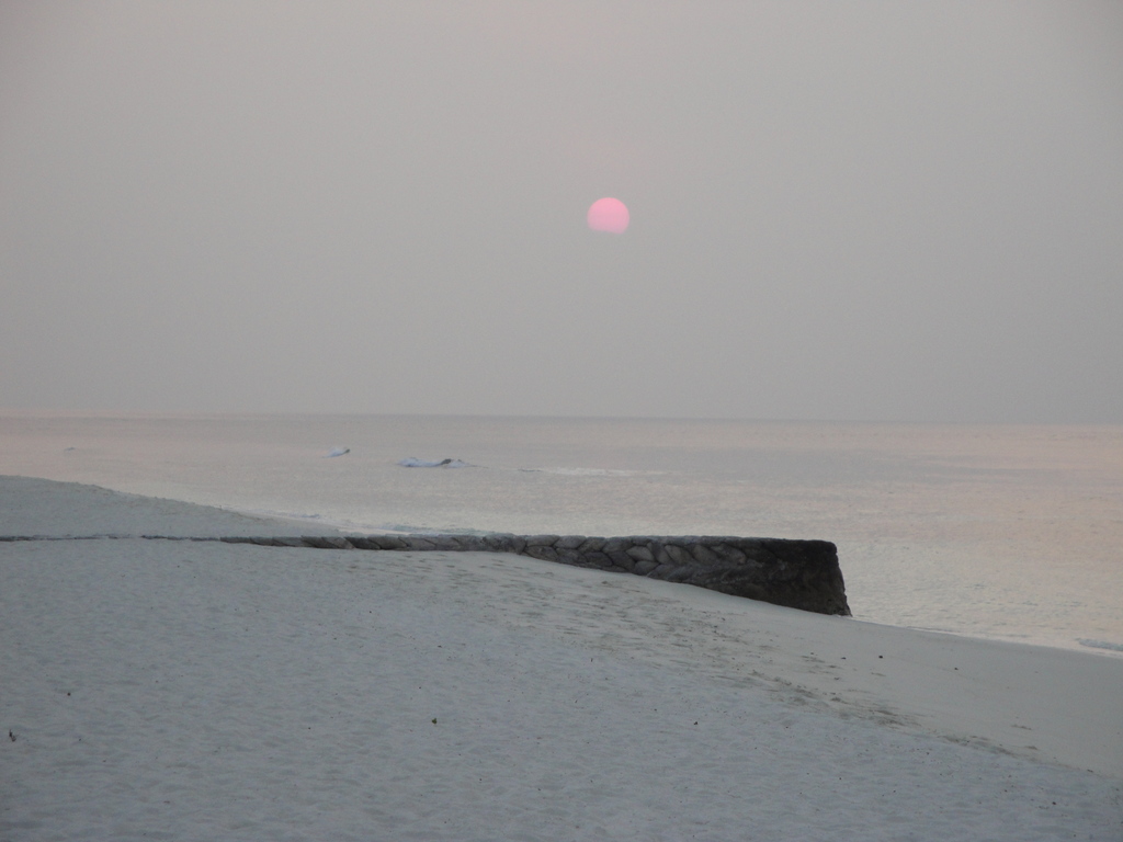 DSC00110.JPG