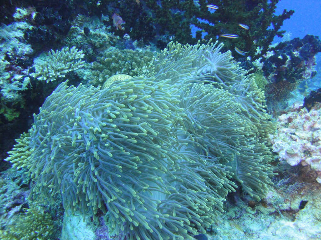 DSC00124.JPG