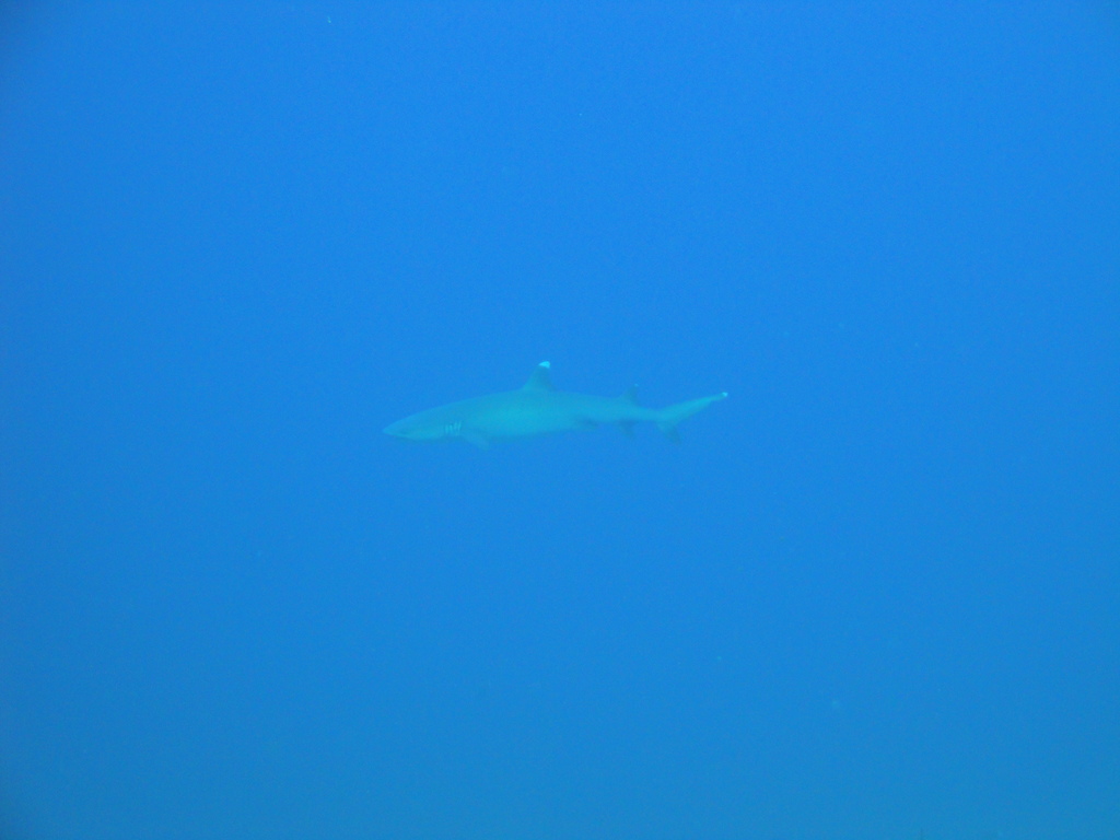 DSC00141.JPG