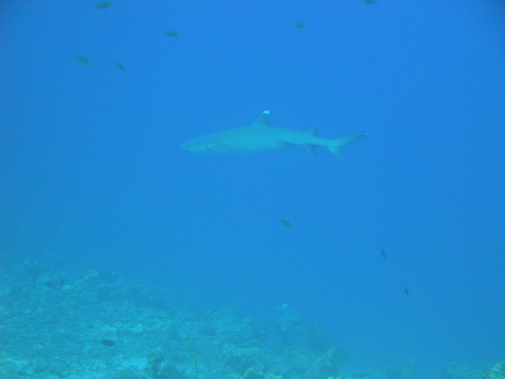 DSC00142.JPG