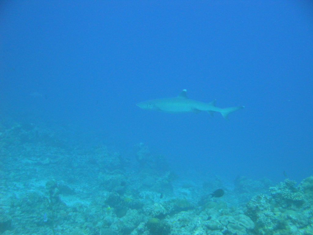 DSC00146.JPG
