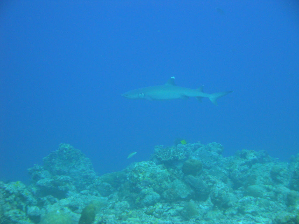 DSC00148.JPG