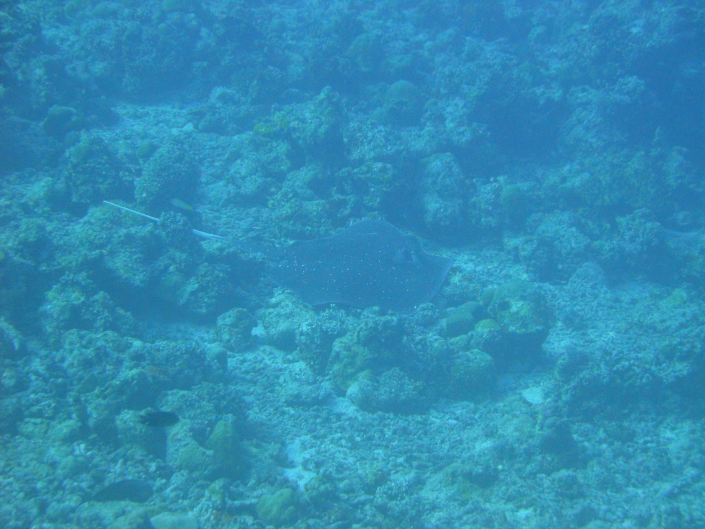 DSC00152.JPG