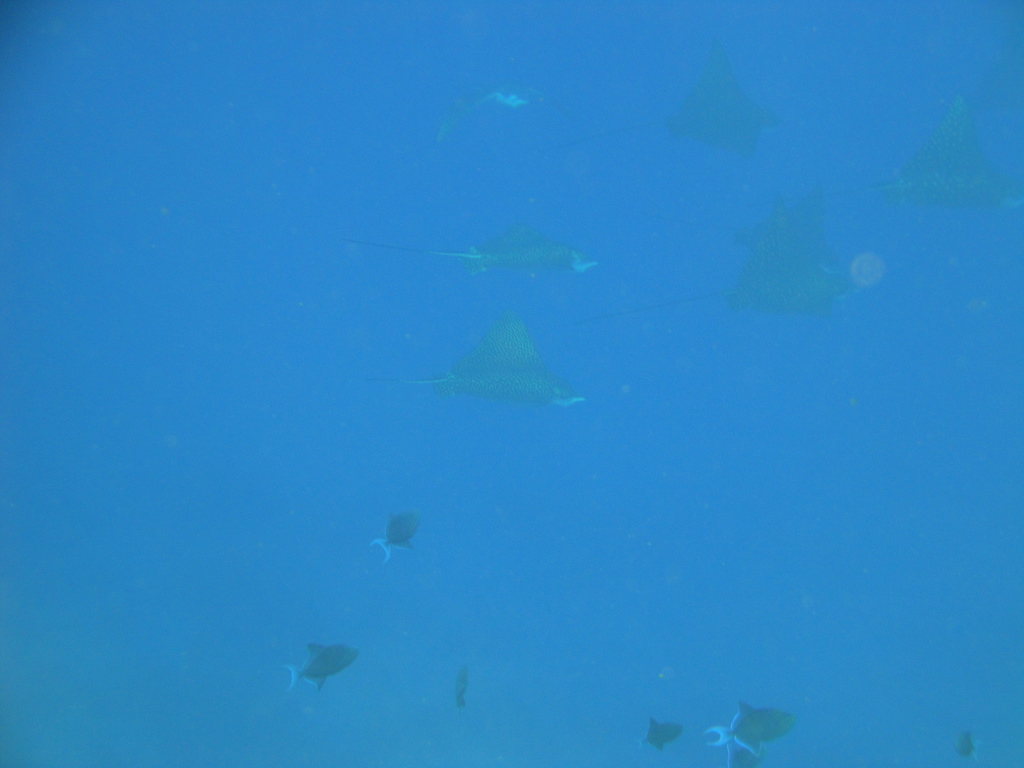 DSC00208.JPG