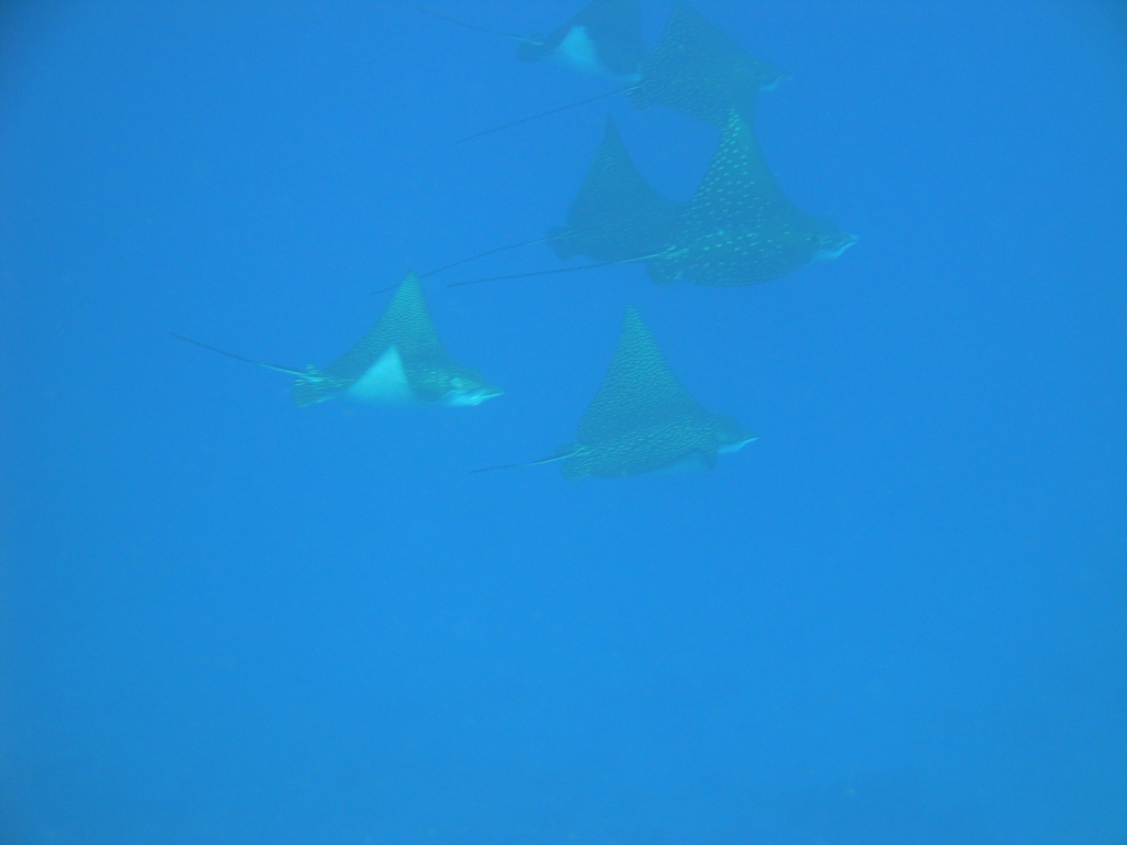 DSC00211.JPG