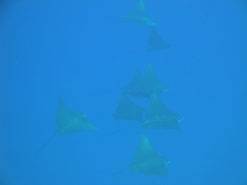 DSC00212.JPG