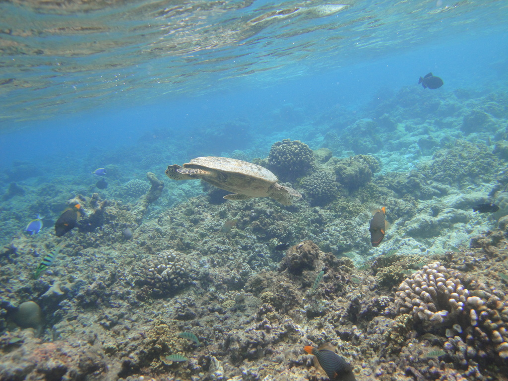DSC00214.JPG