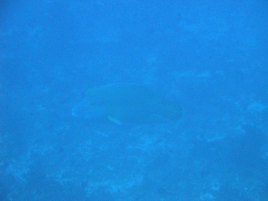 DSC00217.JPG