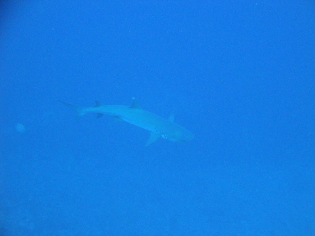 DSC00219.JPG
