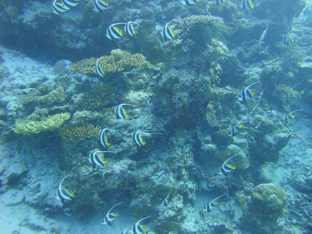 DSC00225.JPG