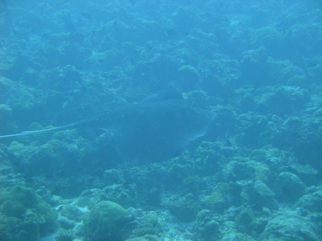 DSC00229.JPG