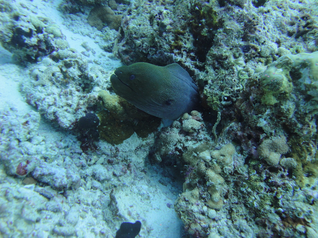 DSC00274.JPG