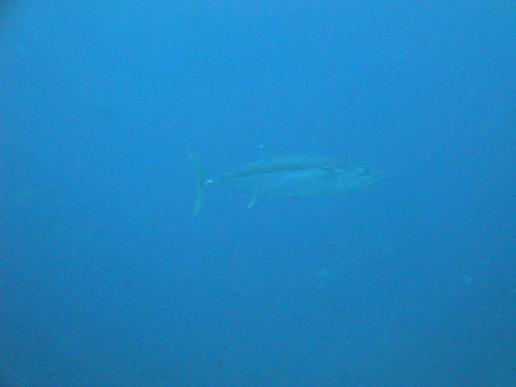 DSC00280.JPG