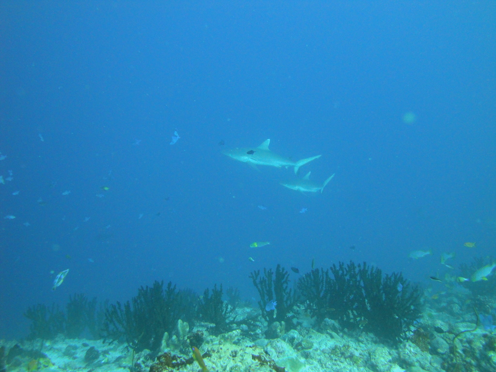 DSC00326.JPG