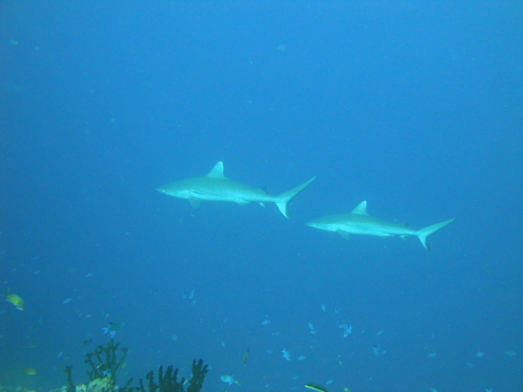 DSC00328.JPG