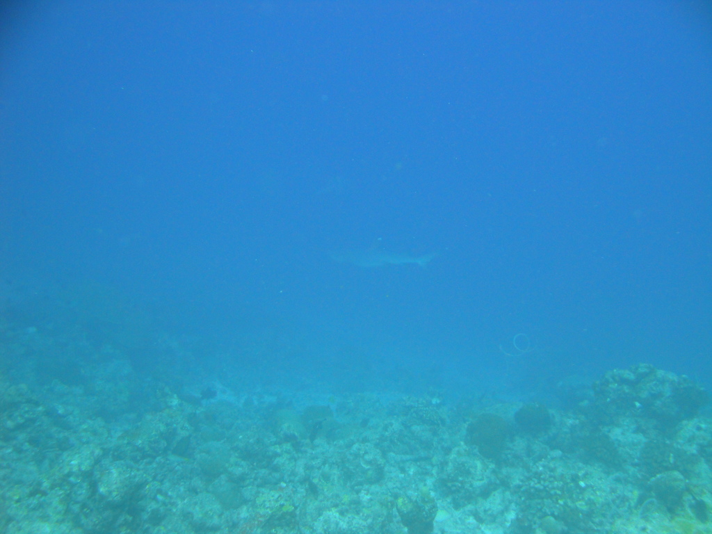 DSC00403.JPG