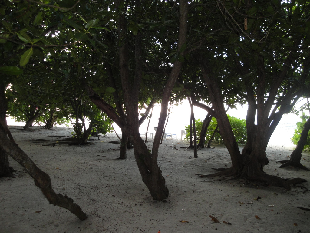 DSC00407.JPG