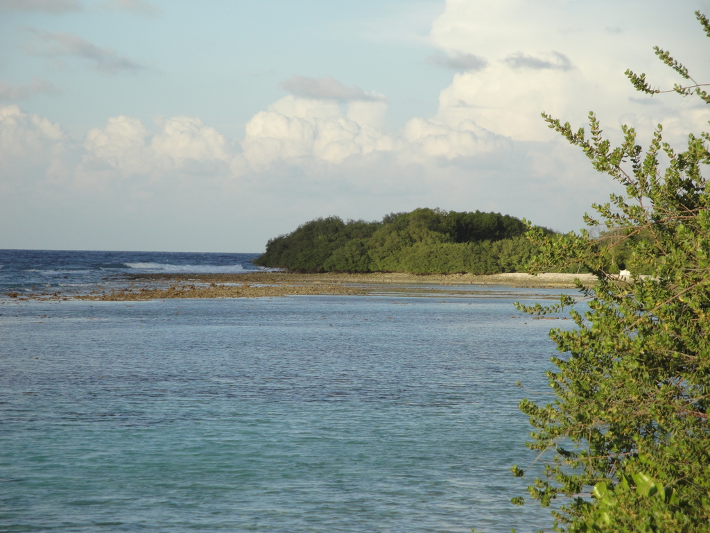DSC00410.JPG
