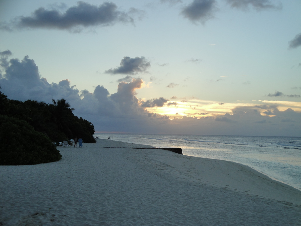 DSC00424.JPG