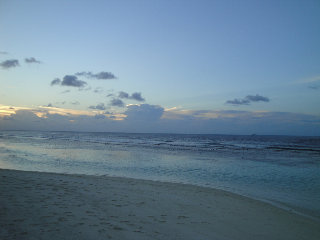 DSC00426.JPG