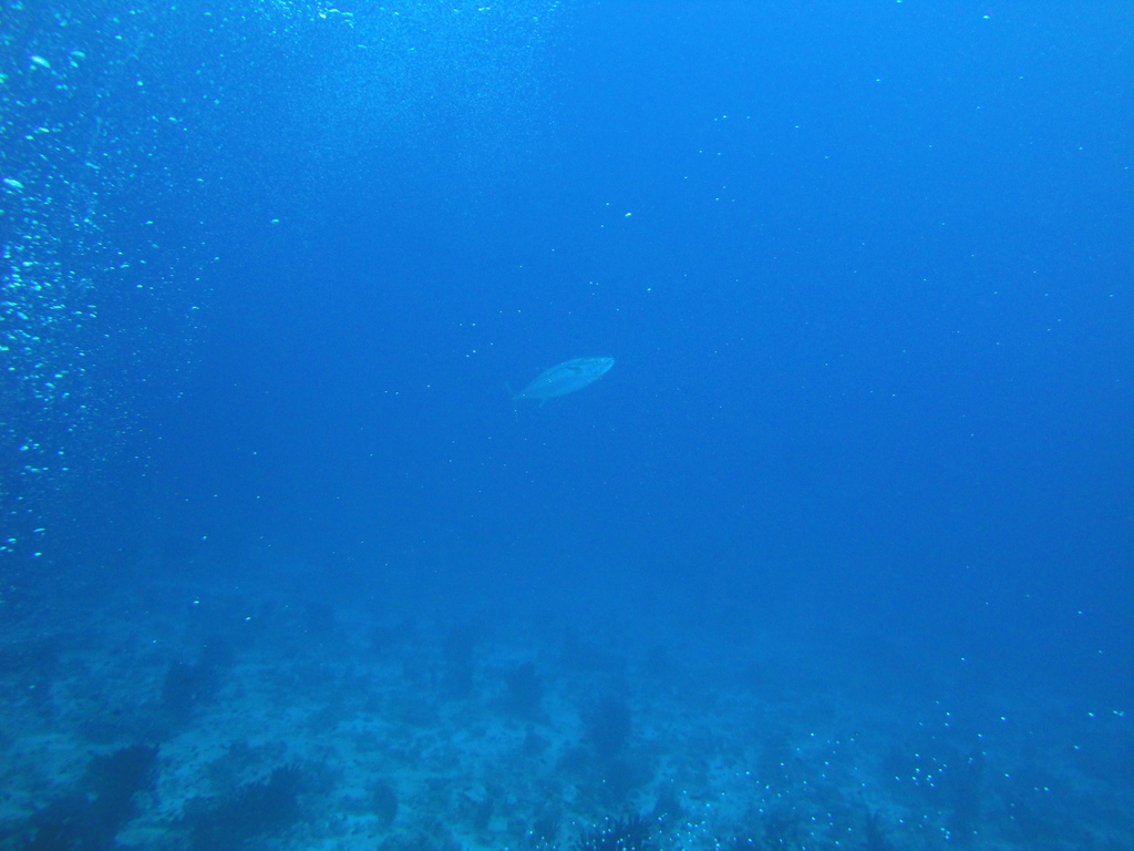 DSC00447.JPG