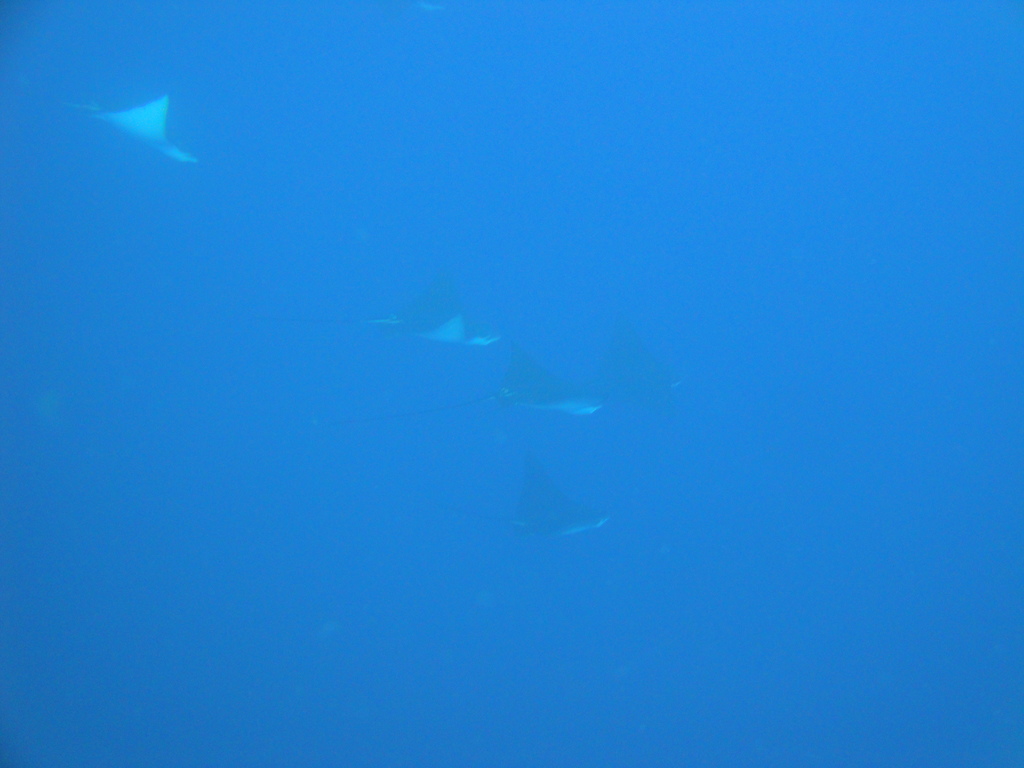 DSC00479.JPG