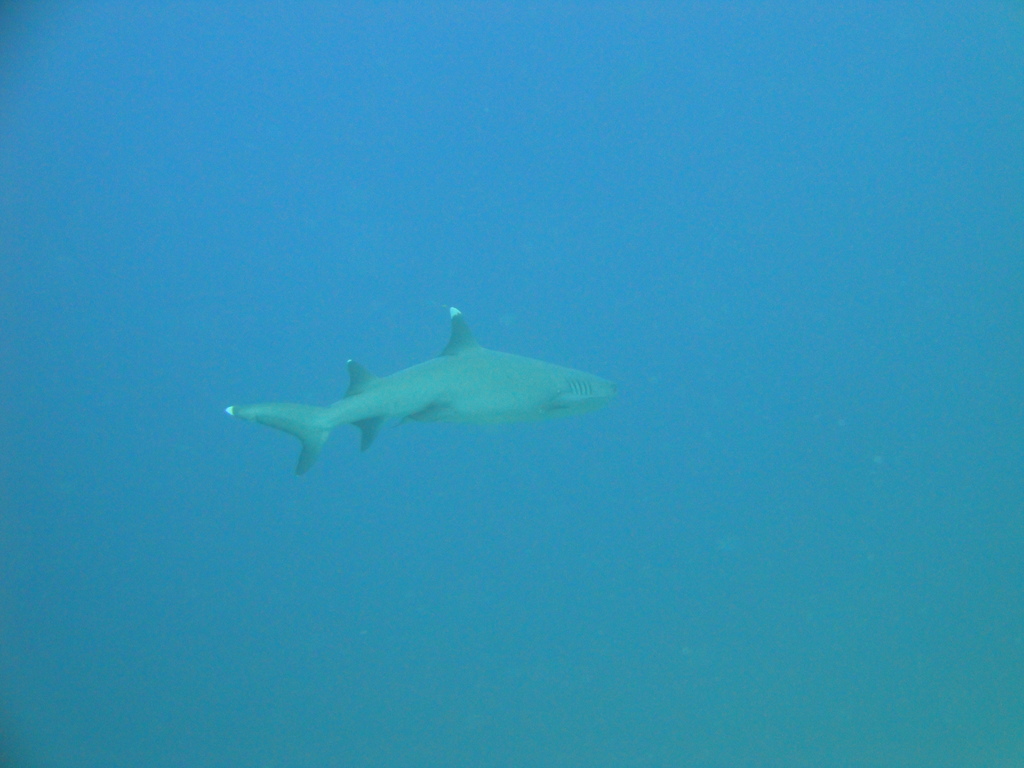 DSC00512.JPG