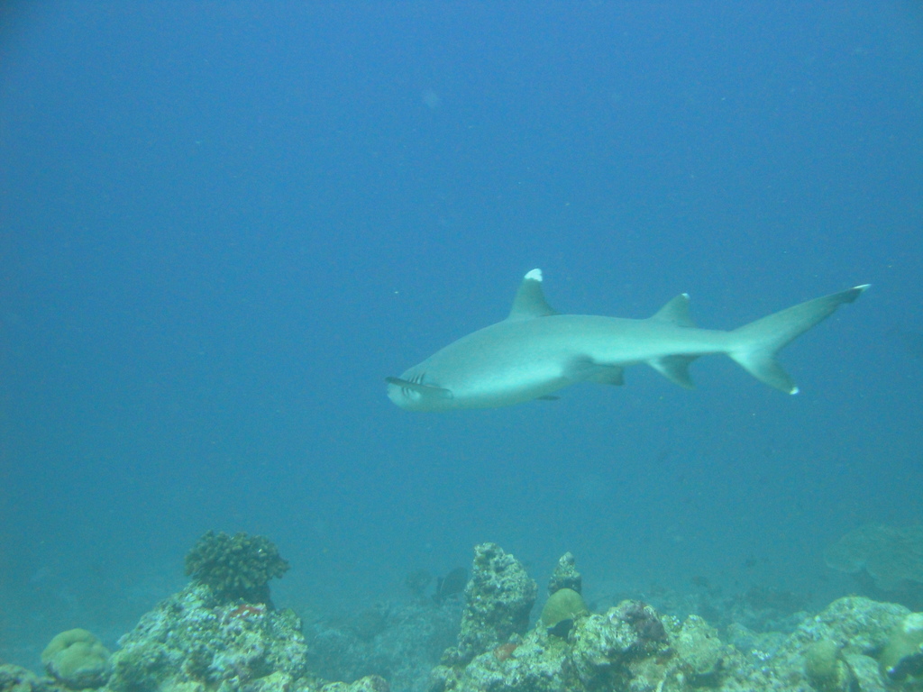 DSC00515.JPG
