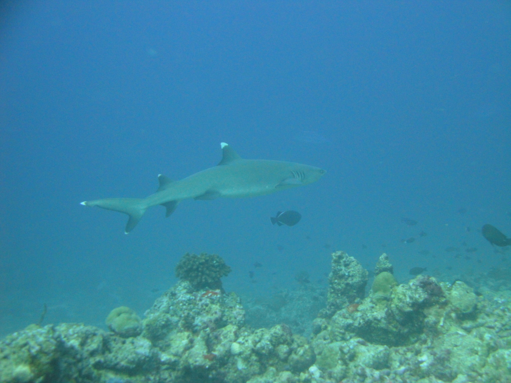 DSC00516.JPG