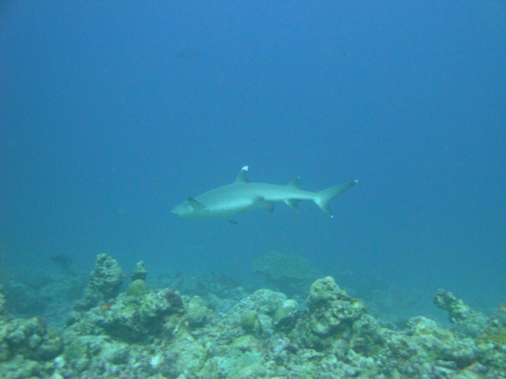 DSC00576.JPG