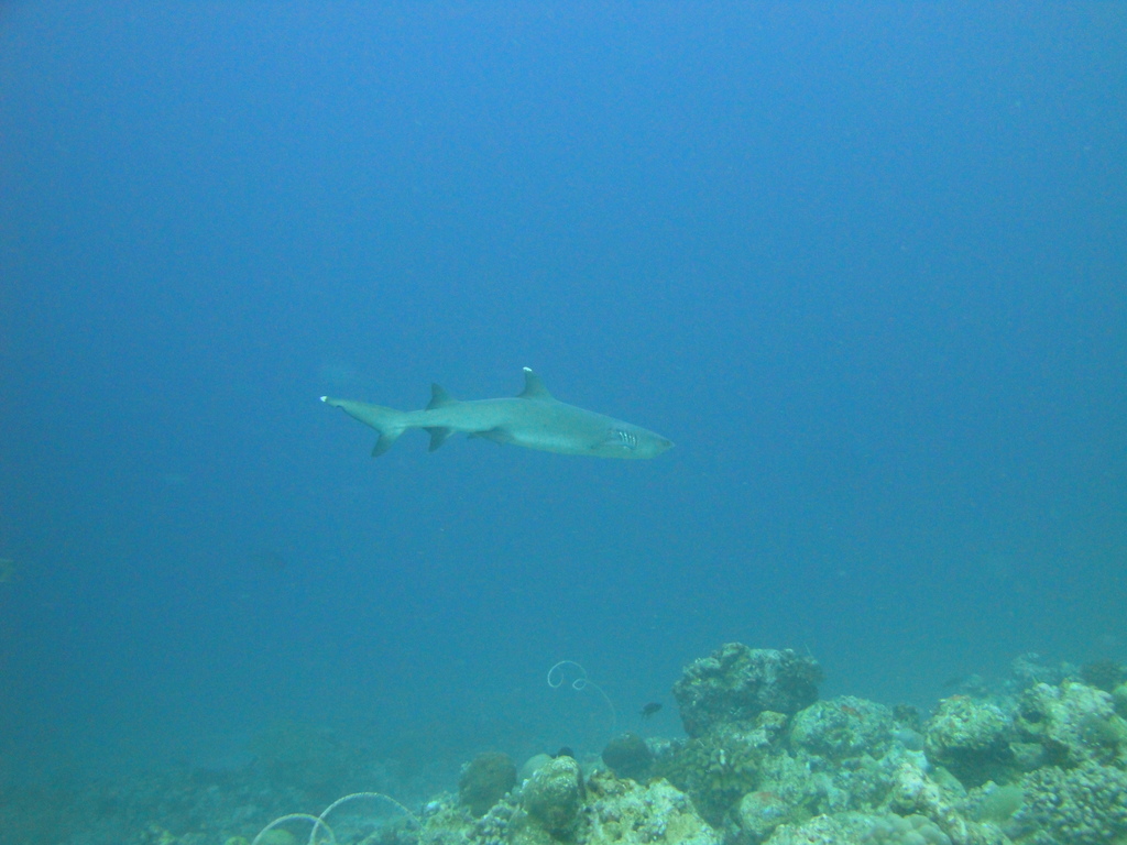 DSC00589.JPG