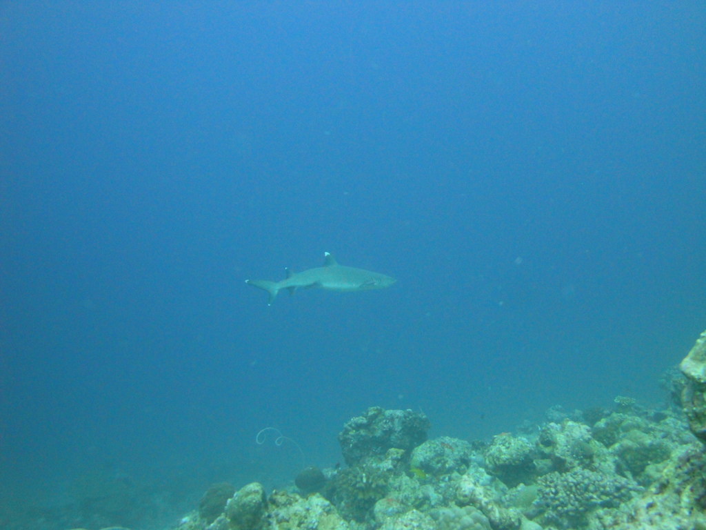 DSC00595.JPG