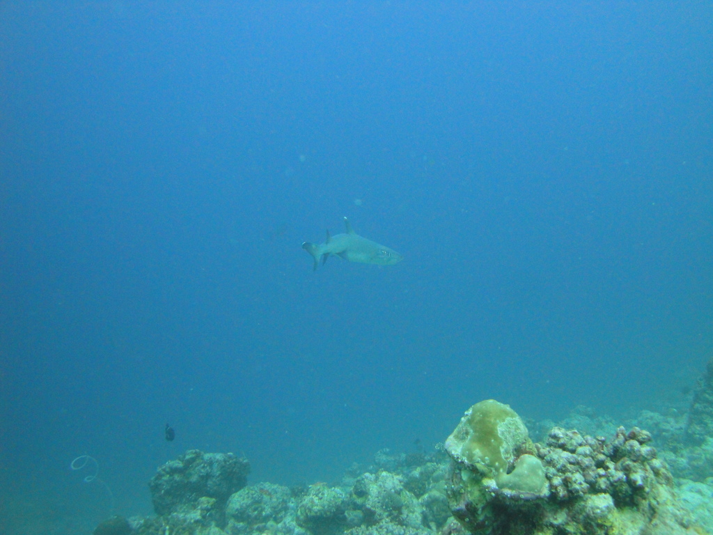 DSC00600.JPG