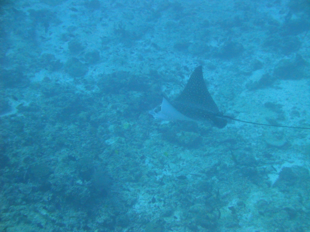 DSC00614.JPG