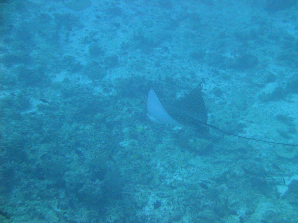 DSC00615.JPG