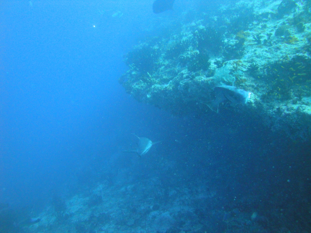 DSC00620.JPG