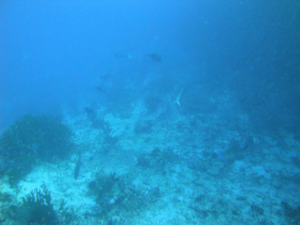 DSC00626.JPG