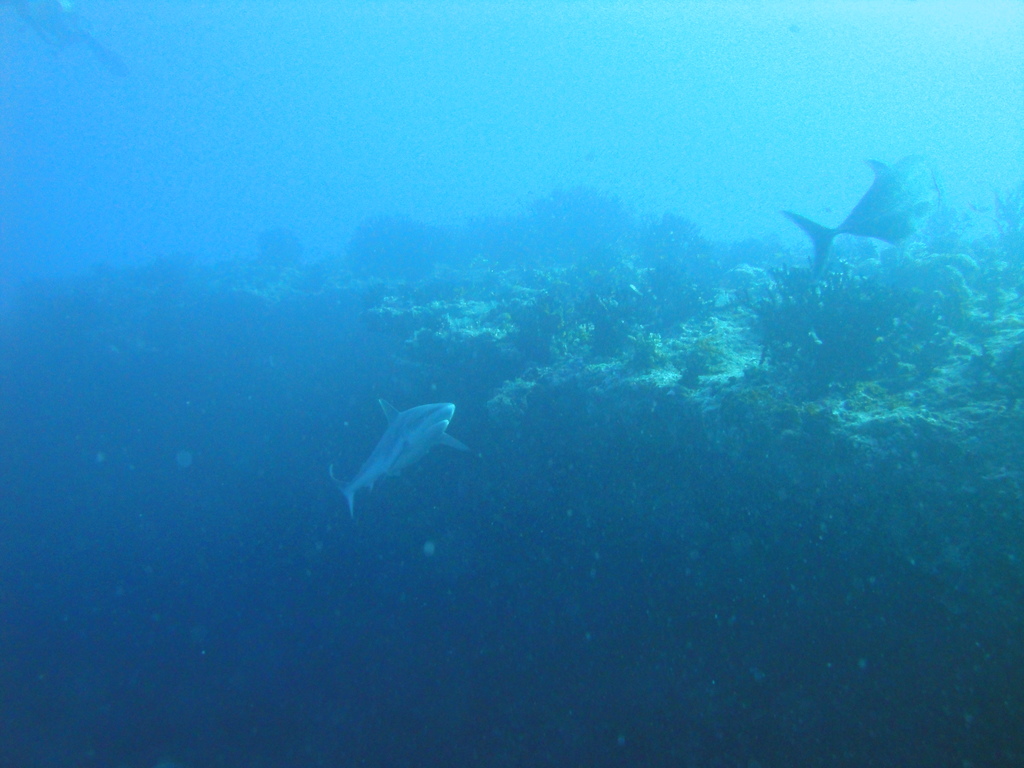 DSC00627.JPG