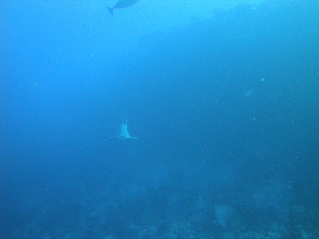 DSC00634.JPG