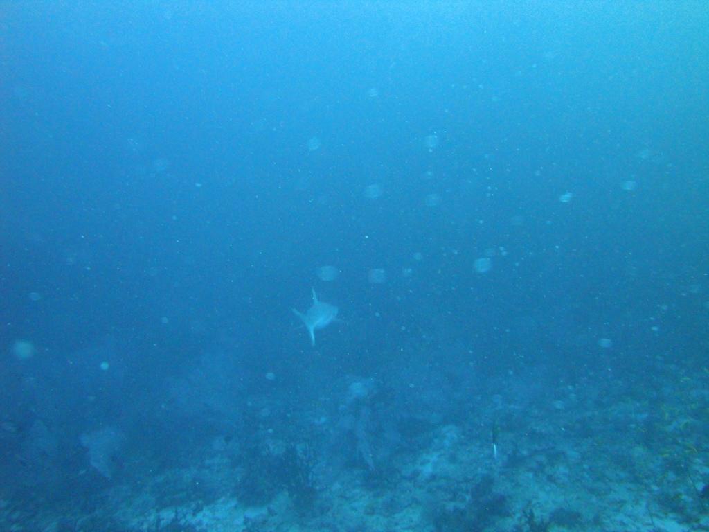 DSC00636.JPG