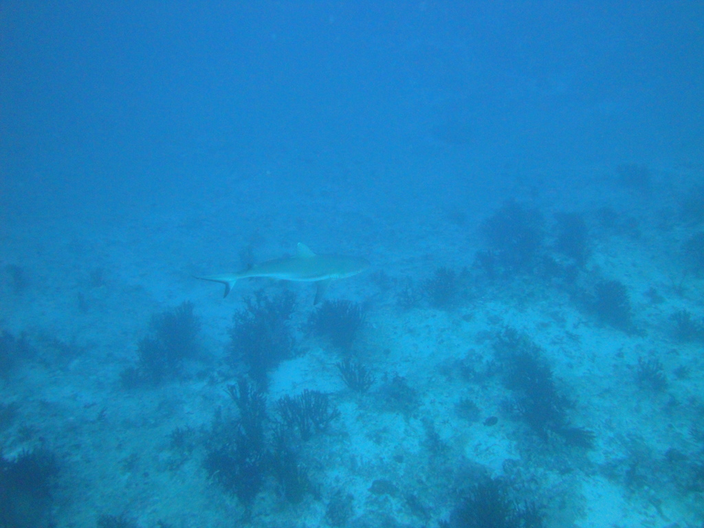 DSC00638.JPG