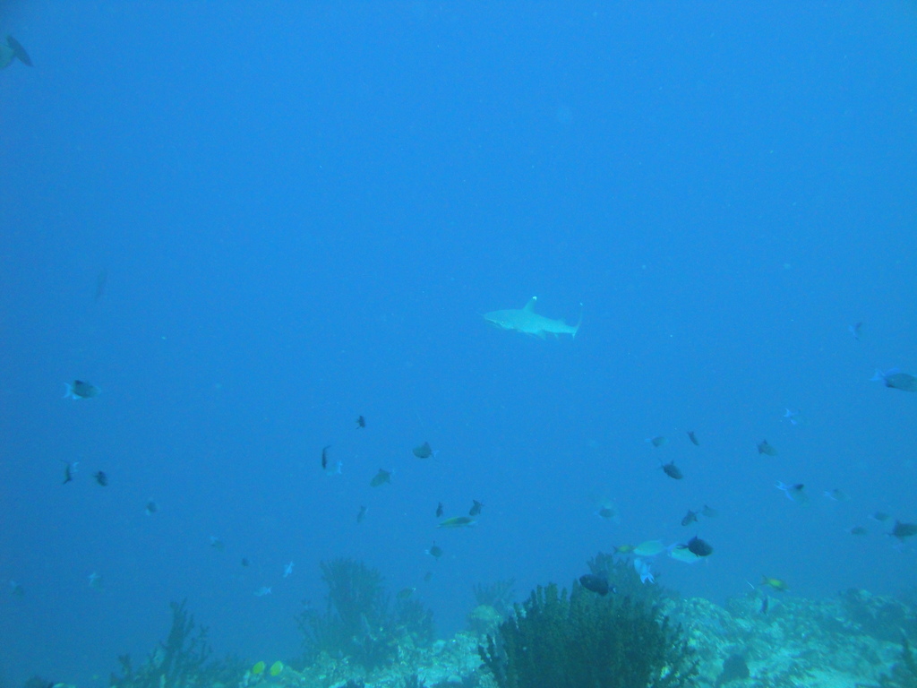 DSC00640.JPG