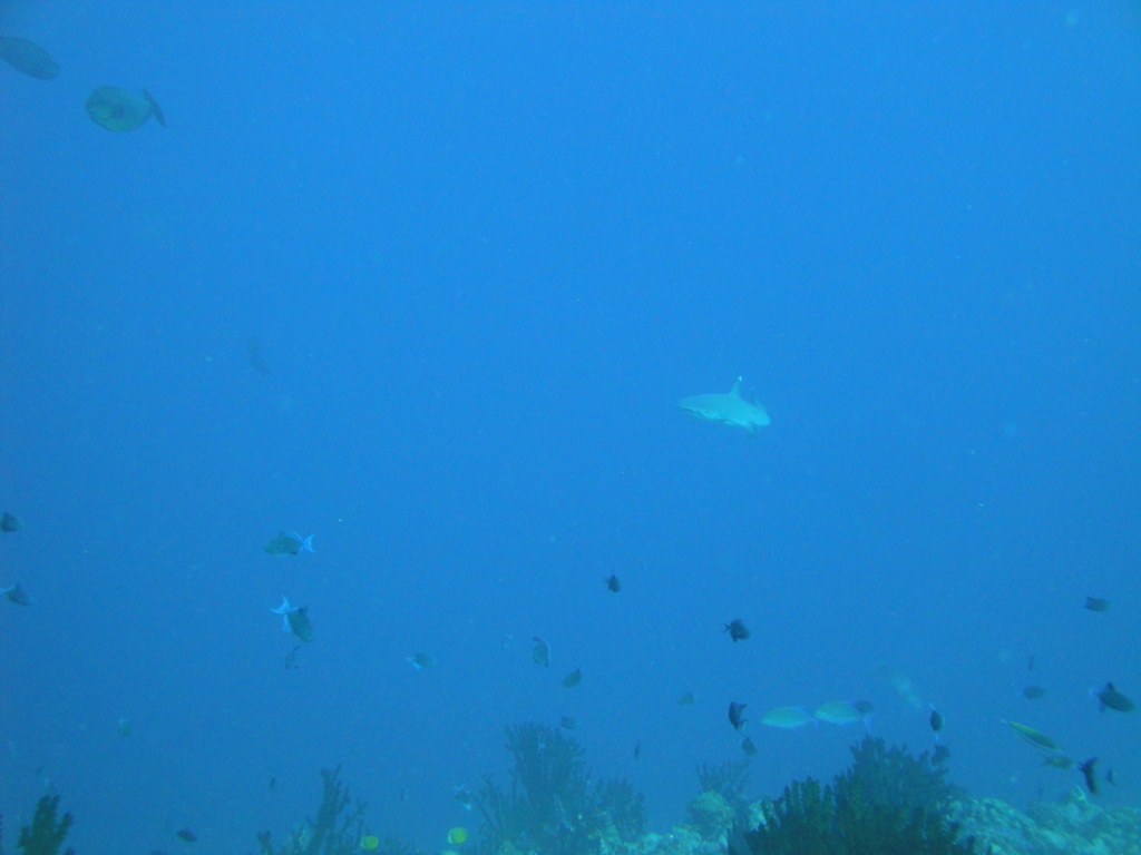 DSC00642.JPG