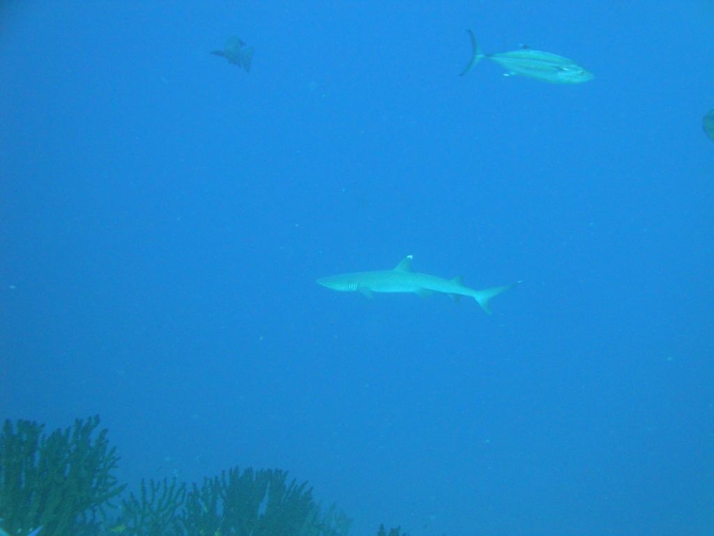 DSC00644.JPG