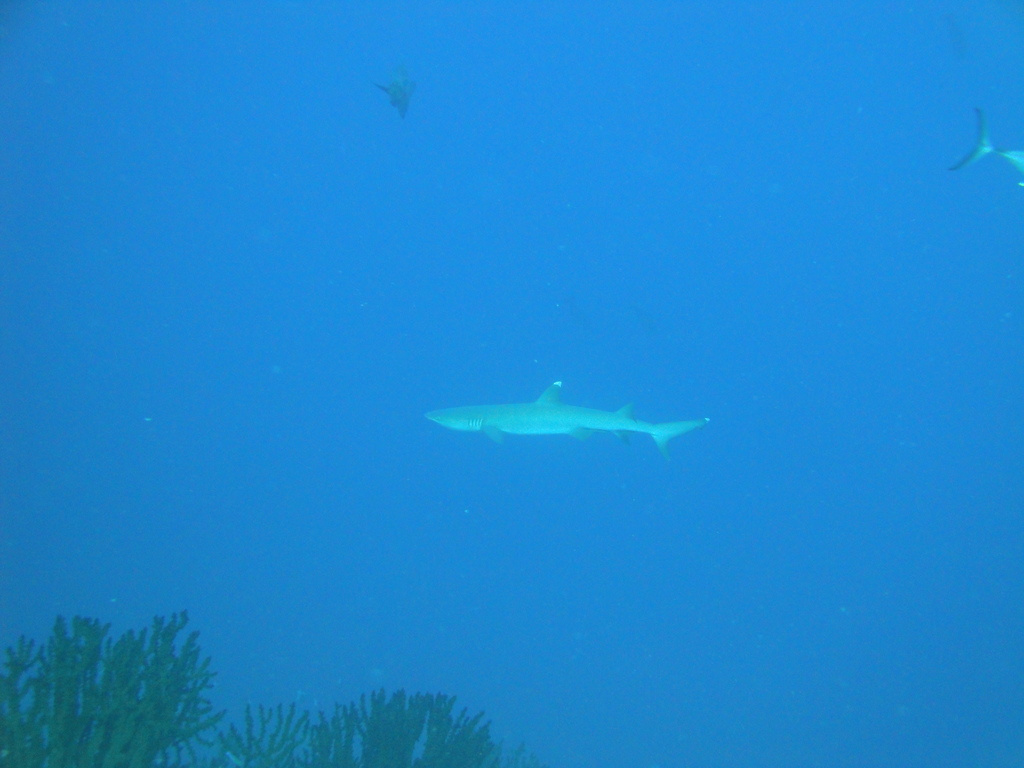 DSC00645.JPG